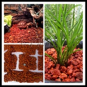 红土矿云南颗粒火烧红土兰花植料陆龟红土保湿 垫材多肉花卉营养土