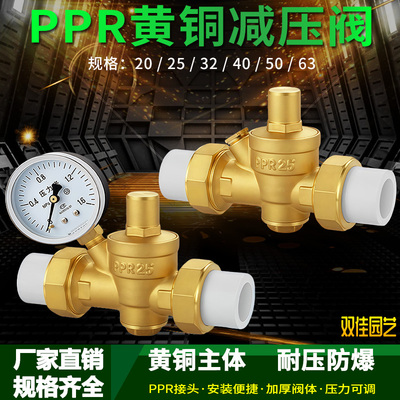 家用电热水器净水器PPR活接热熔