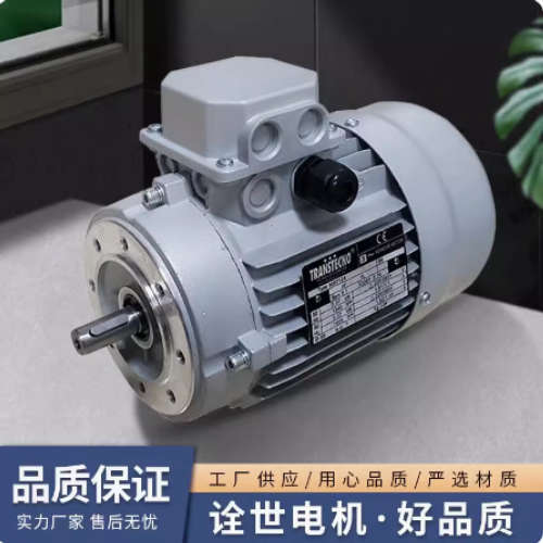 进口意大利原装诠世TRANSTECNO三相异步电机MS/MY系列 MS80B4-B5