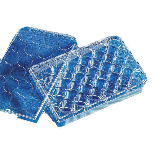 3460 Corning康宁Transwell独立细胞小室 TC处理12孔板 PET聚酯膜