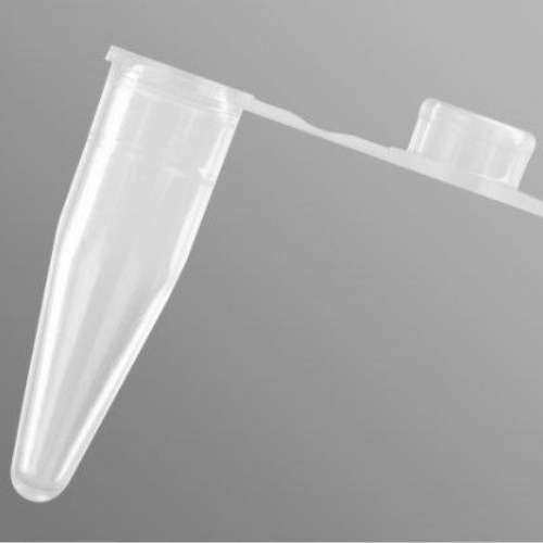 PCR-02-C Axygen/爱思进0.2ml透明平盖PCR薄壁管 PCR管八联管