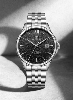 TIAN WANG Men Watch Automatic Mechanical Watches 51300