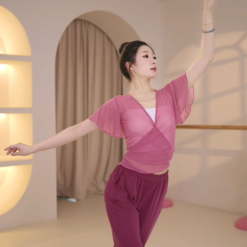 中国古典舞蹈舞蹈服练功服女芭蕾舞服网纱修身艺考上衣表演服装