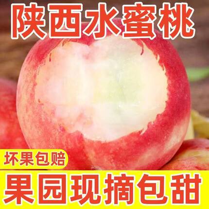 陕西水蜜桃新鲜水果脆甜毛桃果园现摘现发坏果包赔当季甜大桃子