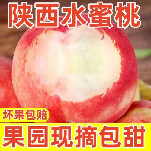 陕西渭南现摘水蜜桃甜果包赔