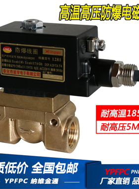 防爆电磁阀5404-04 JT5231015高温高压气阀蒸汽阀气水阀