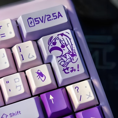 Wooting80HE磁轴ISO配列声音包