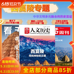 【西夏陵专题】国家人文历史/看天下/三联生活周刊杂志2025年 领略西夏陵背后中华文明多元融合的民族风采人文历史书刊