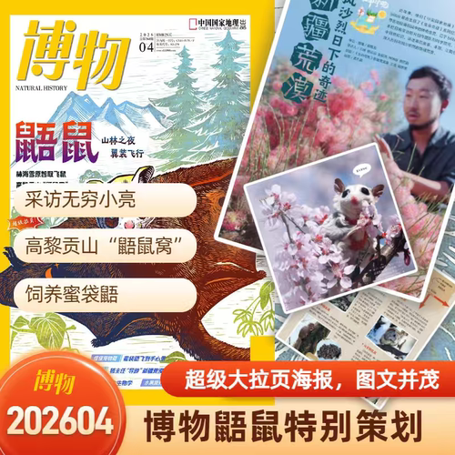 【内含无穷小亮】博物杂志2026年4月主题：鼯鼠 山林之夜 翼装飞行 林海雪原智取飞鼠 中国国家地理青少年版自然科学探索科普百科