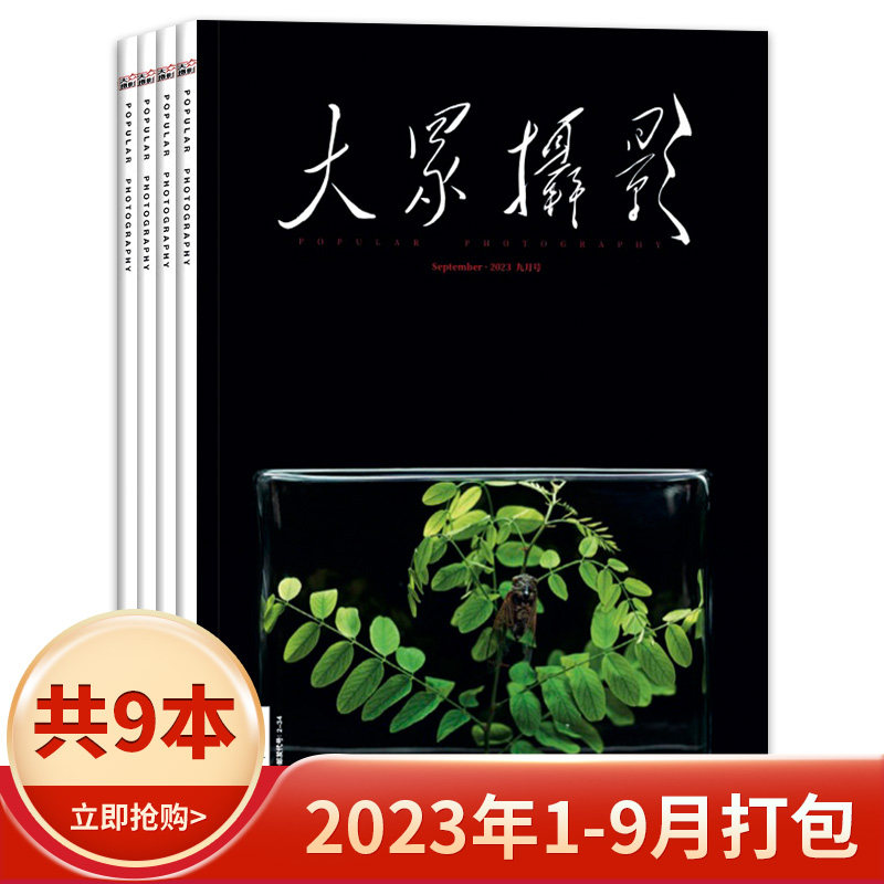 【套装可选】大众摄影杂志2023年1-9月  2022年1-12月打包 任选 2021年全年 艺术时尚影像视觉数码摄影创作器材技巧知识书籍高性价比高么？