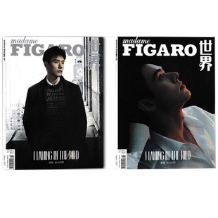 飞机盒包装【共2本 封面龚俊 赠4官方小卡】费加罗世界杂志 2023年8月上 封面龚俊 内页文淇 如火在野 时尚潮流明星期刊书籍