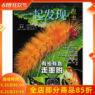 【可选】一起发现昆虫杂志2026年1-2月合刊 有惊有喜 走墨脱 少年科学画报杂志社科普百科小学生三四五六年级初中课外期刊杂志