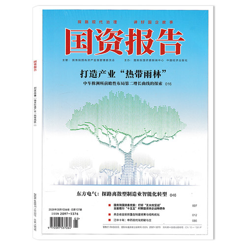 国资报告杂志南方电网改革进化录
