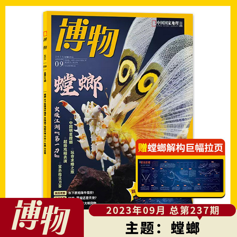 【单期可选】博物杂志2023年9月螳螂现货  蜗牛 中国国家地理青少年版自然科学探索动植物科普百科万物好奇号2022年2021全年订阅使用感如何?