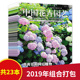 中国花卉园艺杂志2019年第1 24期打包非全年打包半月刊植物盆栽造景设计家庭种花养花期刊书籍非2022年2021年全年 共23本