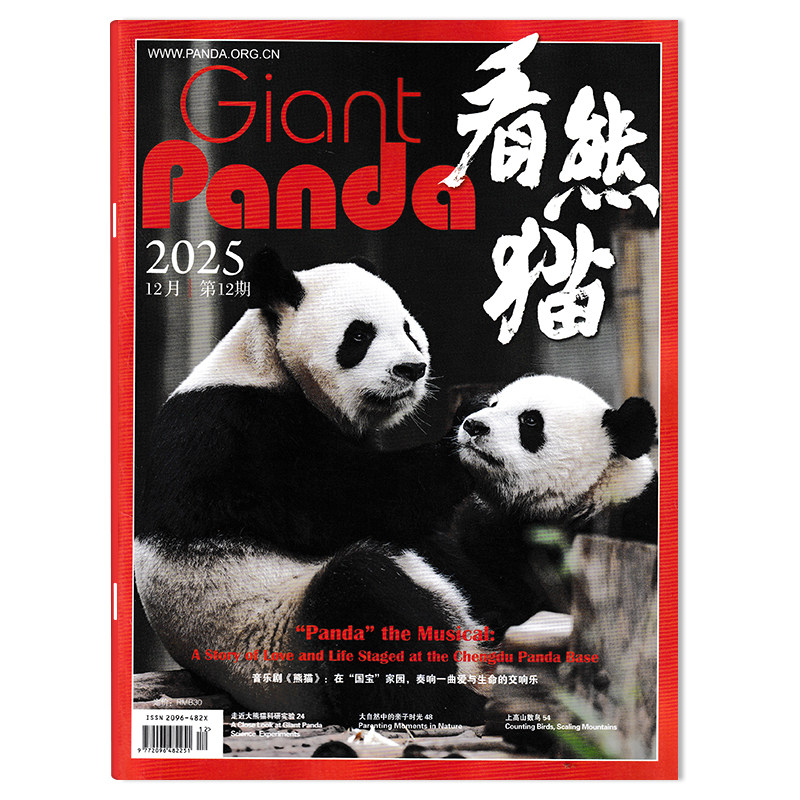 【期数可选 中英文版互译】看熊猫杂志2025年12月音乐剧《熊猫》：在&ldquo;国宝&rdquo;家园，奏响一曲爱与生命的交响乐大熊猫类期刊杂志
