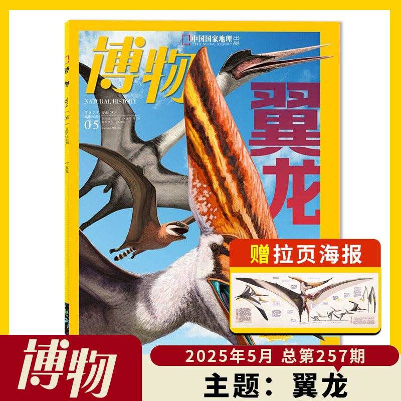 博物杂志2025年5月主题：翼龙  中国国家地理青少年版自然科学探索动植物科普百科
