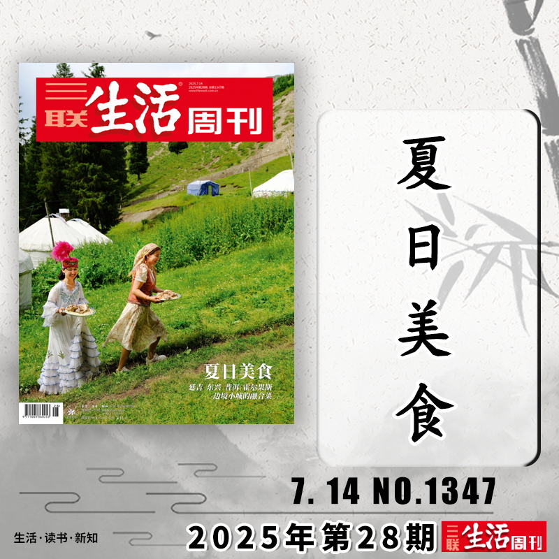 三联生活周刊2025年第28期可选
