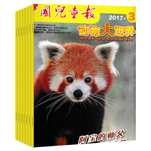 【可选】中国儿童画报动物大世界杂志2025年3月 大草原上的小“哨兵”动物科普小学生课外期刊