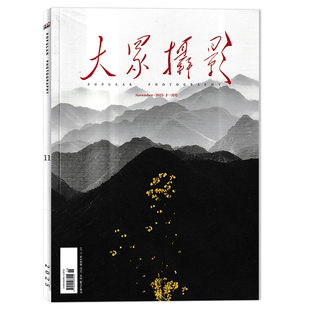 大众摄影杂志2025年11月可选2024 2023 影像视觉数码 套装 摄影创作器材技巧知识书籍 2020年全年珍藏组合艺术时尚 可选 2021 2022