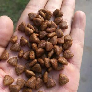 德牧金毛阿拉斯加泰迪幼犬粮