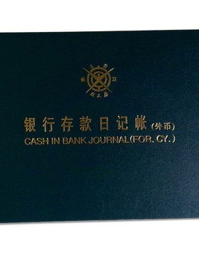 外币银行日记账成文厚