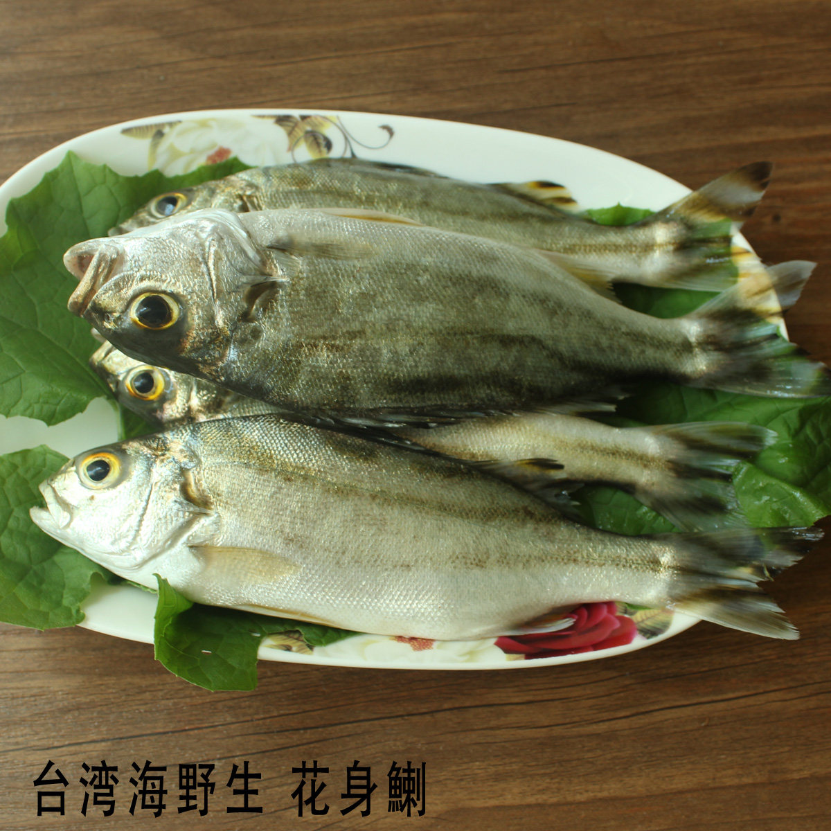海鱼台湾鱼新鲜鲜活花身仔斑吾鸡仔鱼三抓仔海黄蜂潮汕斑猪肉质鲜