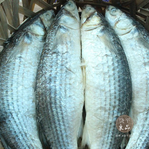 饶平特产乌头鱼饭 潮州打冷鲻鱼饭 小菜海乌鱼饭 海鲜 500克