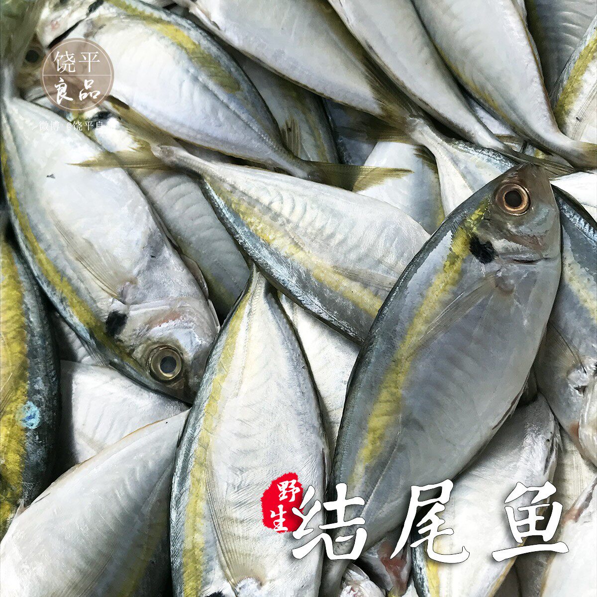 新鲜海 结尾 孕妇小孩煲汤西瓜皮 帮杀 500g顺丰