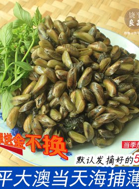 当天新鲜 潮汕鲜活薄壳大澳薄壳米海鲜甜海瓜子 广东3斤包邮顺丰