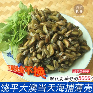当天新鲜 潮汕鲜活薄壳大澳薄壳米海鲜甜海瓜子 广东3斤包邮顺丰