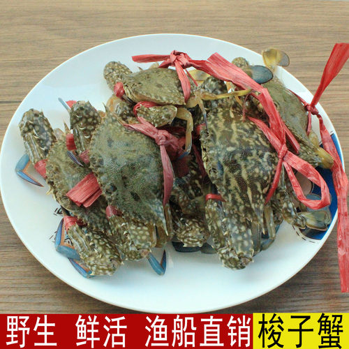 新鲜海捕花冰鲜梭子蟹 石蟹/花盖蟹/海螃蟹 花蟹大鲜活类冰鲜500g