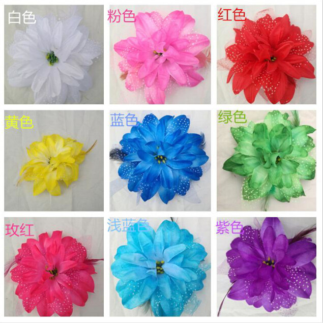 民族舞蹈头饰现代舞台演出服鸡毛头花广场舞古典舞蹈头饰饰品,运动/瑜伽/健身/球迷用品,更多舞蹈配饰,淘宝优惠券,粉丝福利购,淘宝优惠卷