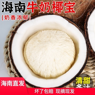 海南文昌牛奶椰宝新鲜当季新奇水果发芽老椰子椰饼椰皇椰子芯网红