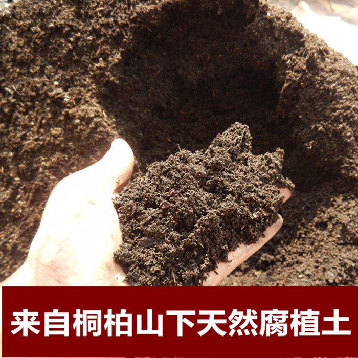 盆栽腐叶土花卉营养土种菜绿植有机肥腐殖土兰花苗君子兰植料包邮,鲜花速递/花卉仿真/绿植园艺,介质/营养土,淘宝优惠券,粉丝福利购,淘宝优惠卷