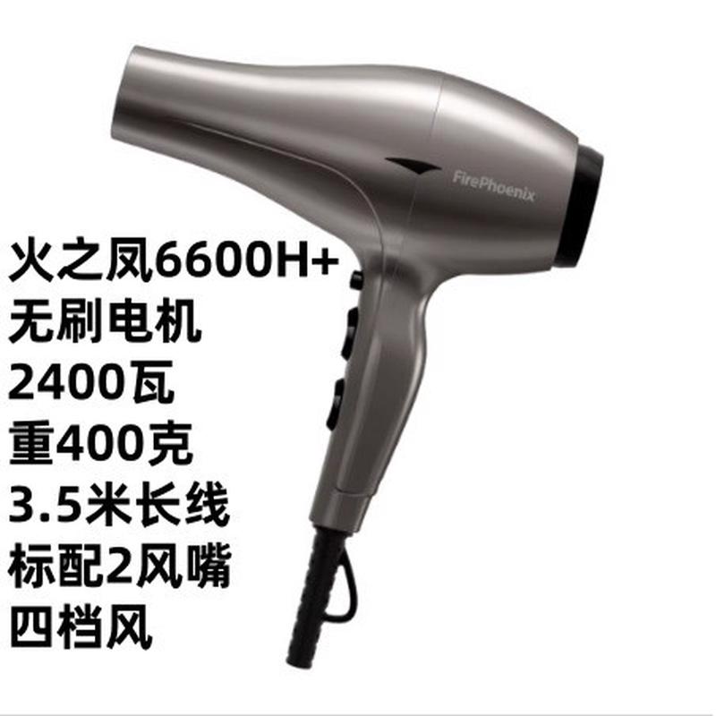 火之凤6200H电吹风机2400W大功率理发店专用无刷电机发廊速干风筒