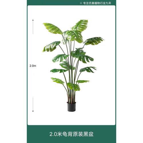仿真绿植摆件假树客厅植物盆栽高端轻奢氛围感室内装饰景观龟背竹