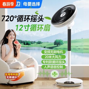 林边空气循环扇家用大风力摇头低噪台立两用电风扇直流变频落地扇