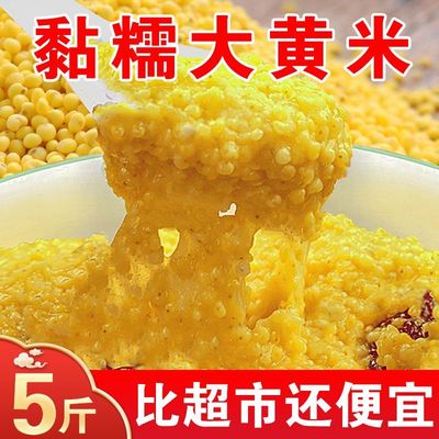 大黄米新米正宗黍米软黏黄米饭农家五谷杂粮粘豆包熬粥粽子端午节