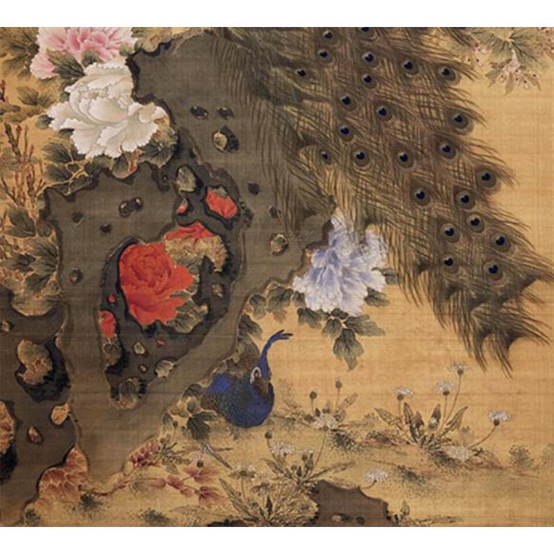 沈铨孔雀玉兰图传统花鸟名画艺术微喷复制品临摹稿范本中式装饰画图片