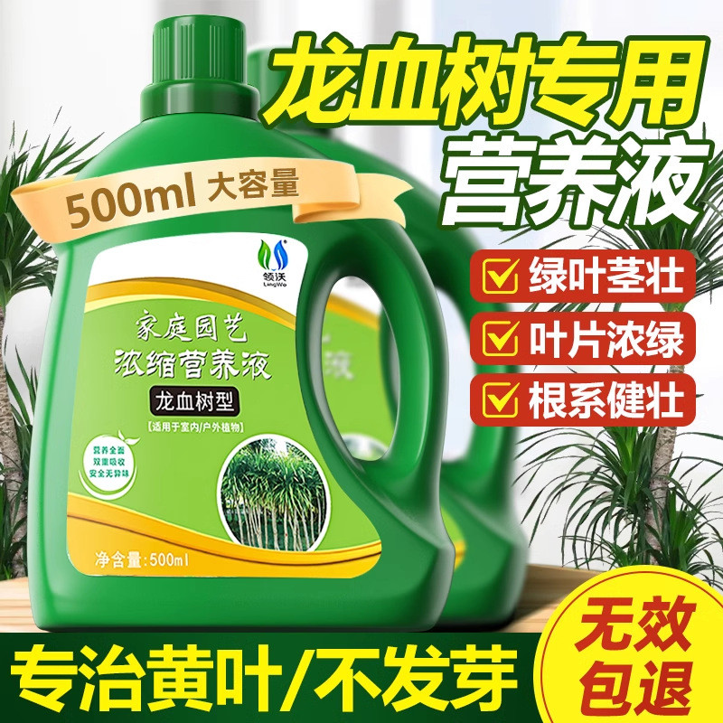 营养液龙血树专用肥料批发龙须树室内花卉绿植植物通用型