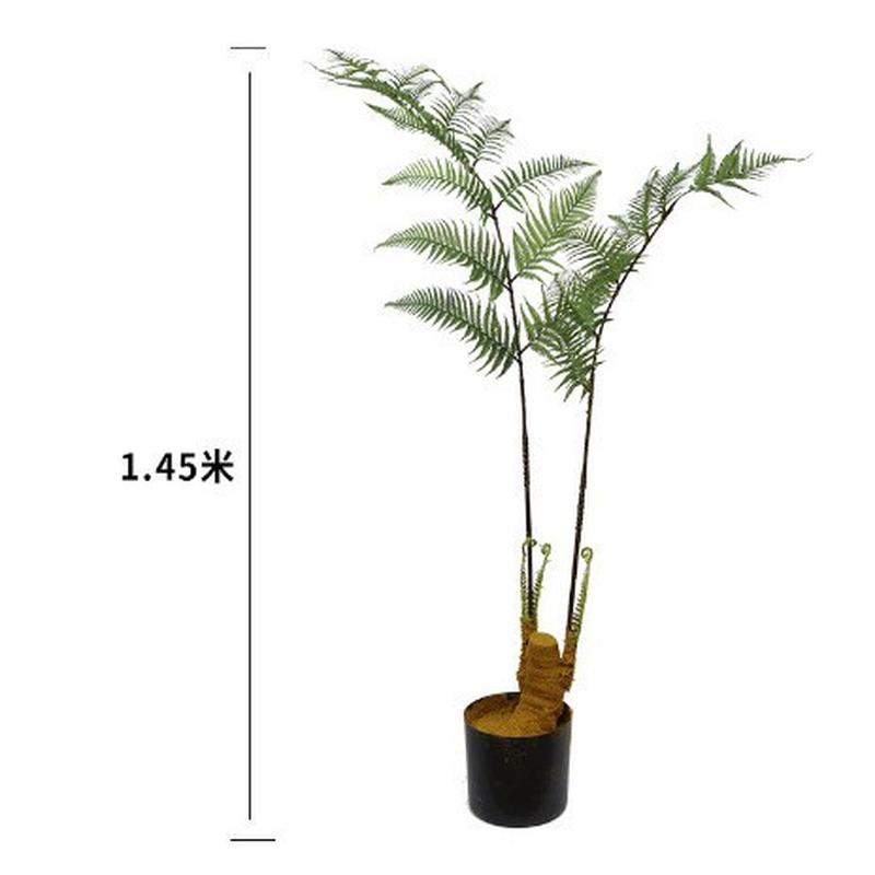 仿真绿植长毛猴头蕨金丝蕨盆栽落地装饰摆件蕨树蕨草盆景假植物