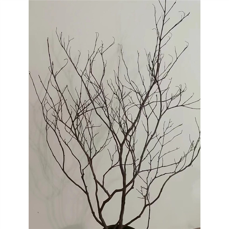 干树枝干枝干树白色枯树枝仿真艺术假树造型树树枝装饰仿真珊瑚枝