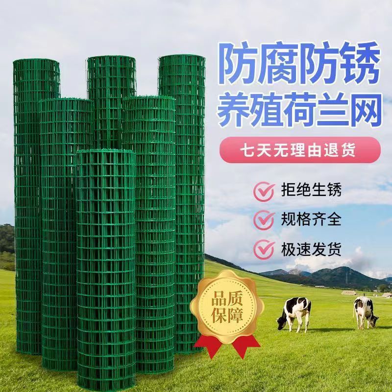 硬塑荷兰网铁丝网围栏护栏隔离圈地果园养殖鸡户外栅栏草坪护栏网