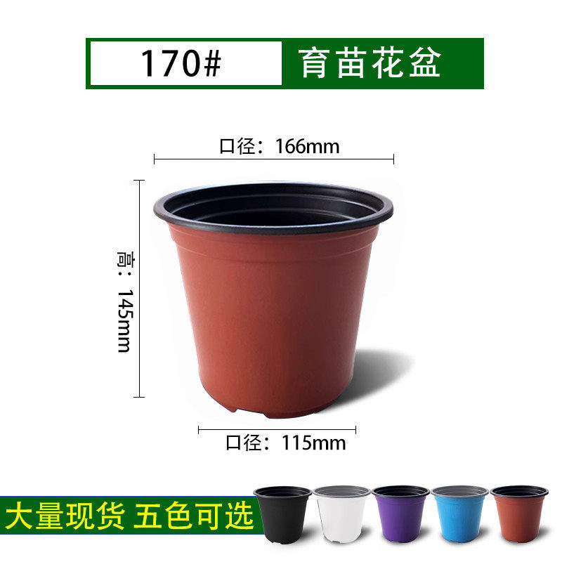 双色育苗盆基地育苗盆种植营养钵批发植物花卉多肉加厚塑料花盆