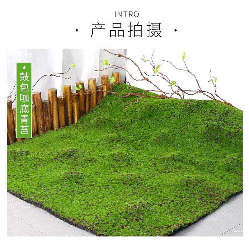 仿真苔藓草坪diy人造苔藓草坪草皮假苔藓绿植装饰绿植盆景造景物
