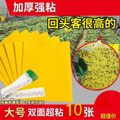 粘虫板黄板双面小飞虫灭杀果园大棚灭苍蝇贴纸神器果蝇蚊子诱捕器