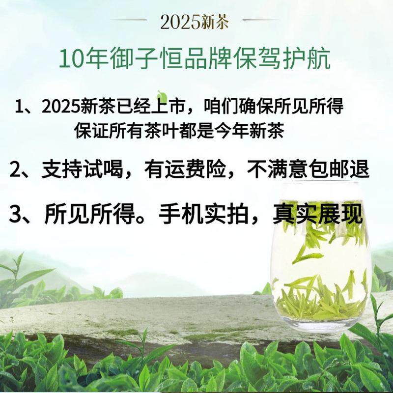 新日期【雨前特级A白茶】2025新茶溪龙原产春茶茶叶高山绿茶御子