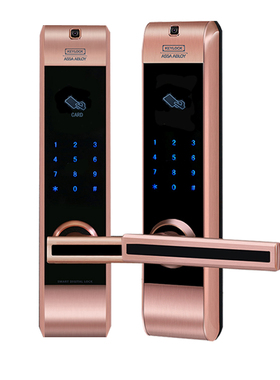 Keylock第吉尔密码锁防盗锁家用智能感应刷卡入户大门电子锁313C