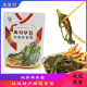 下饭菜袋装 韩式 朝鲜族手工腌制小葱 高丽村延边地窖拌香葱泡菜